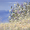 Butterfly at Springtime II