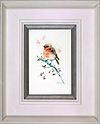 Fluffy Robin (Framed)
