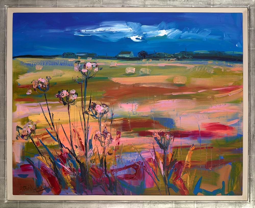 Hayfield, The Gower
