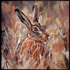 Hidden Hare (Framed)