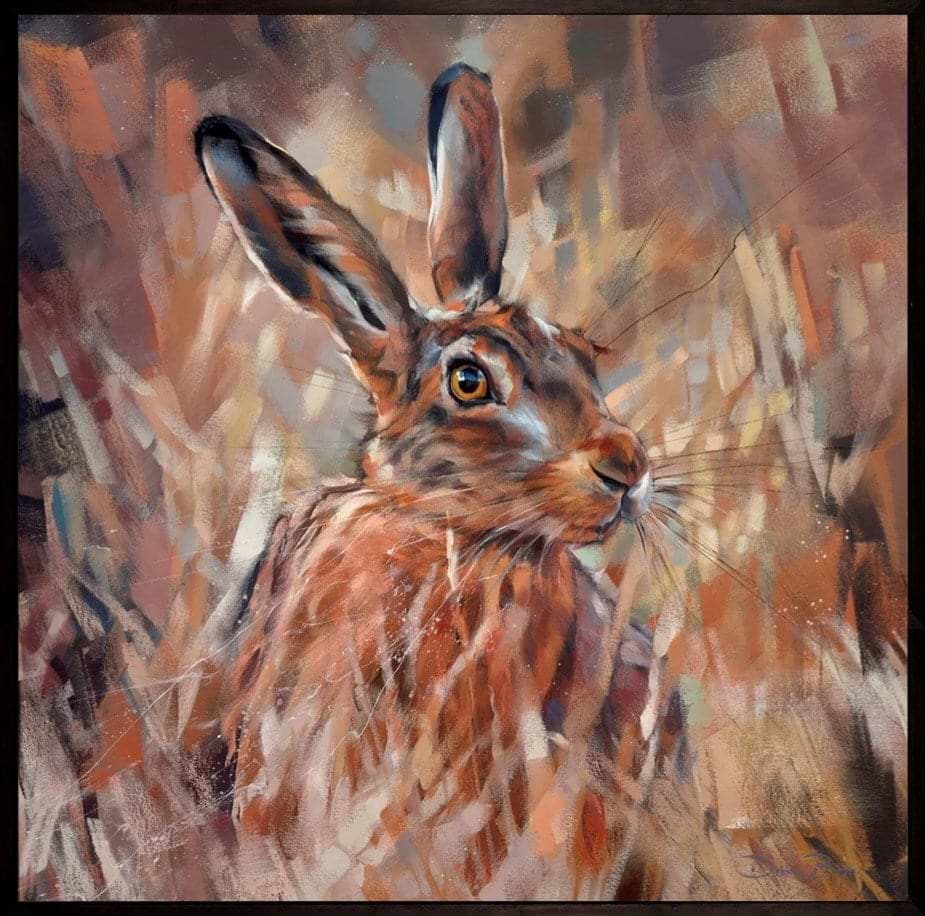 Hidden Hare