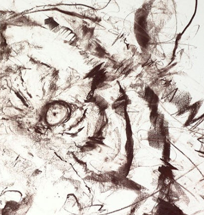 Tiger Study VI