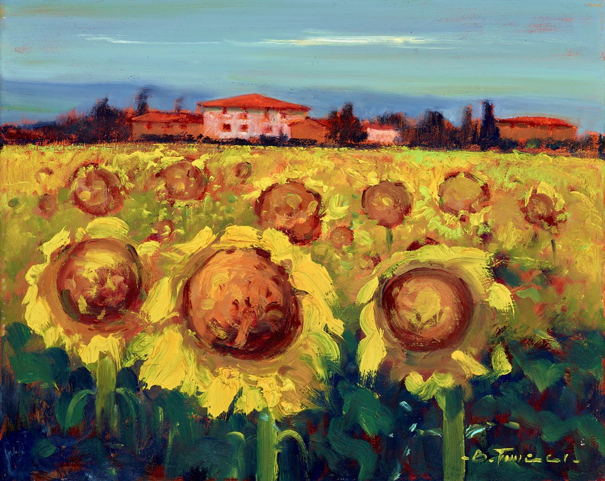 Campi Di Girasole V