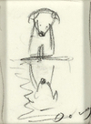 Paws for Reflection III (study)