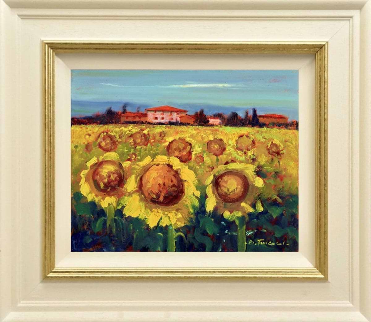 Campi Di Girasole V