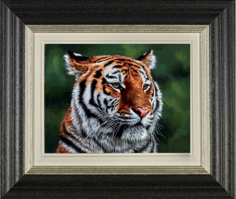 Eye Of The Tiger