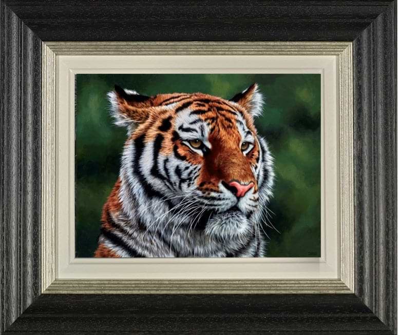 Eye Of The Tiger
