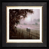 Harvest Time (Framed)