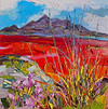 Heather, the Cuillins