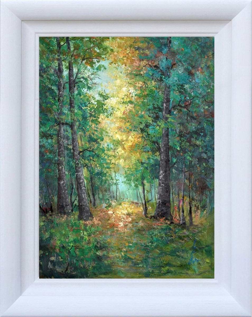 Sunny Forest