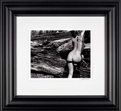 Naked Landscape, Plate 43 (Framed)