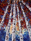 Colourful Woods