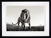 Hunter (Deluxe) (Framed)