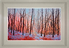 Forest of Light (Framed)