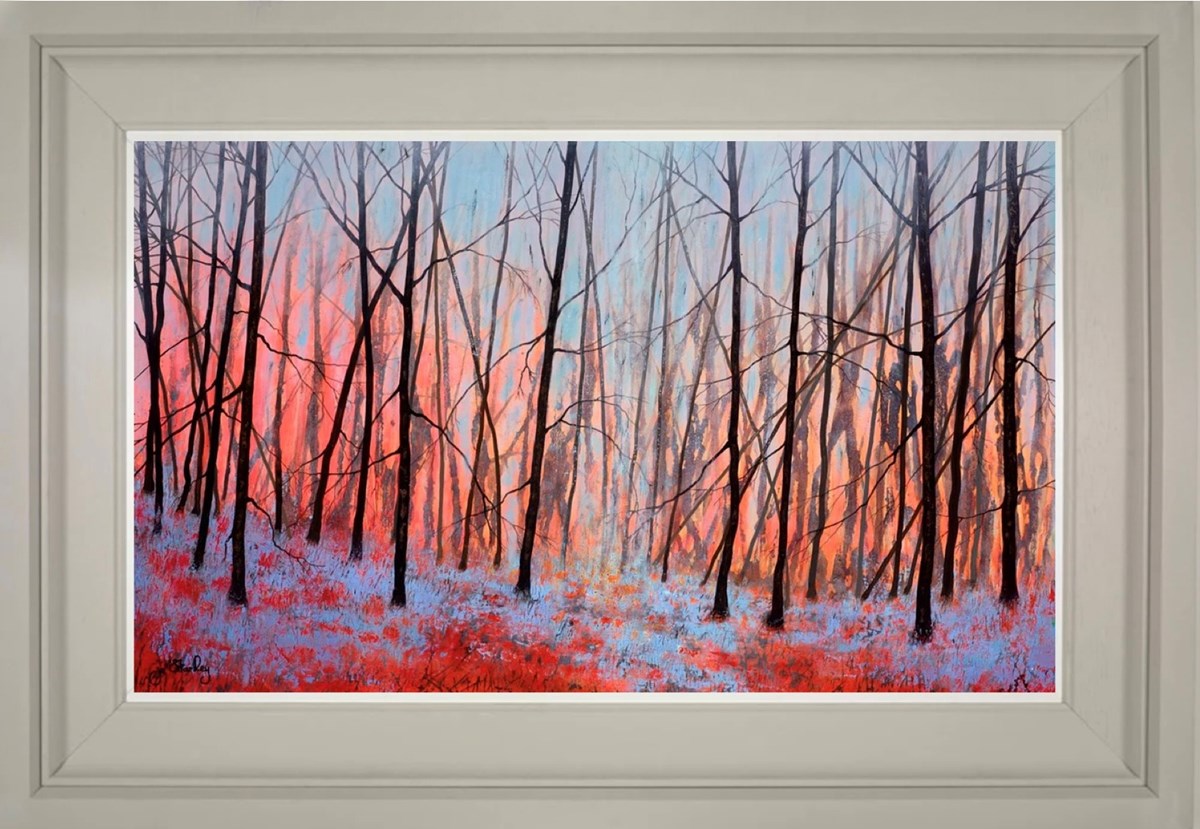 Forest Of Light