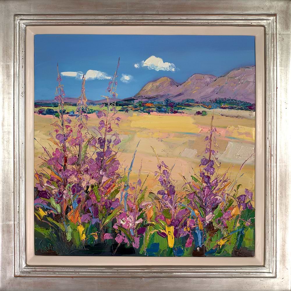 Rosebay Willowherb, The Campsies