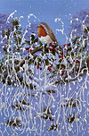 A Christmas Scene V