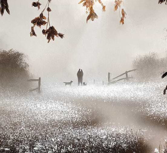 Dawn Journey