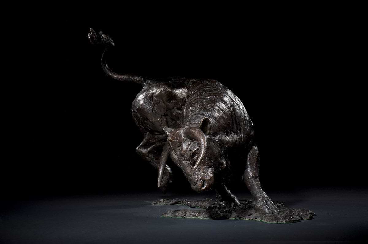 Bull Turning - 2007