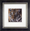 Hunter (Framed)
