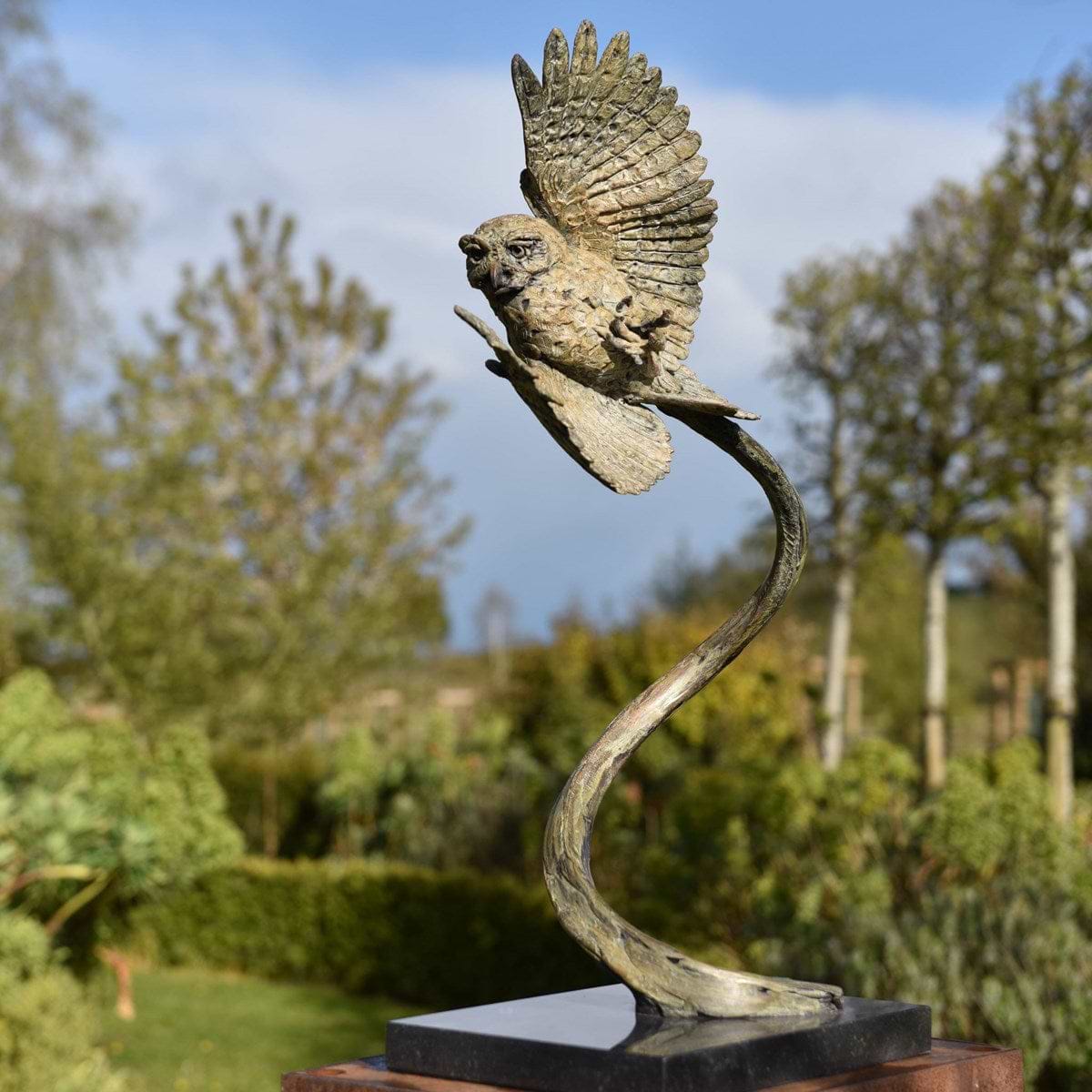 Little Owl - 2021