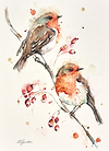 Berry Feast - Robins