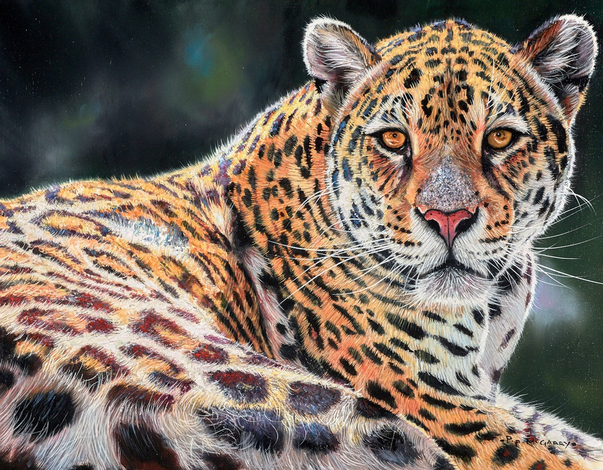 Mr Cool (Jaguar)