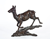 Red Deer Hind - 2012