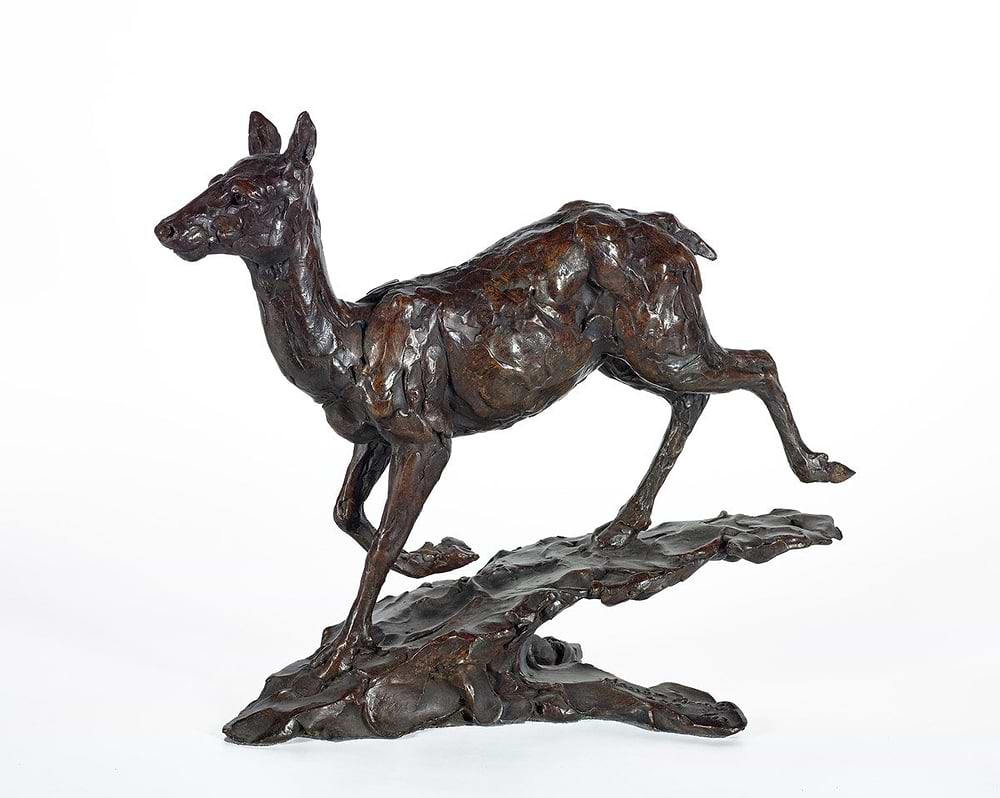 Red Deer Hind - 2012