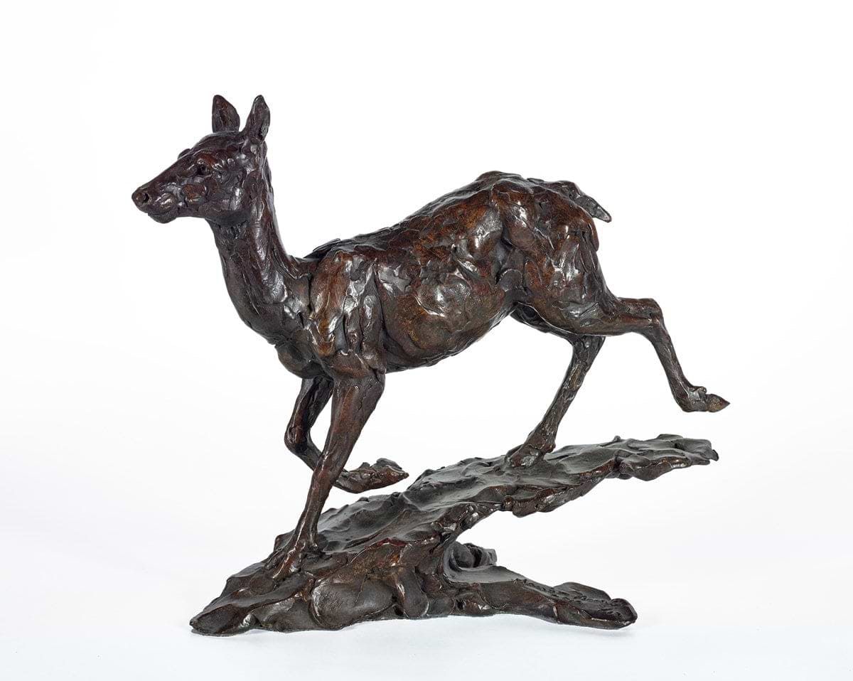 Red Deer Hind - 2012