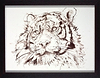 Tiger Study VI (Framed)