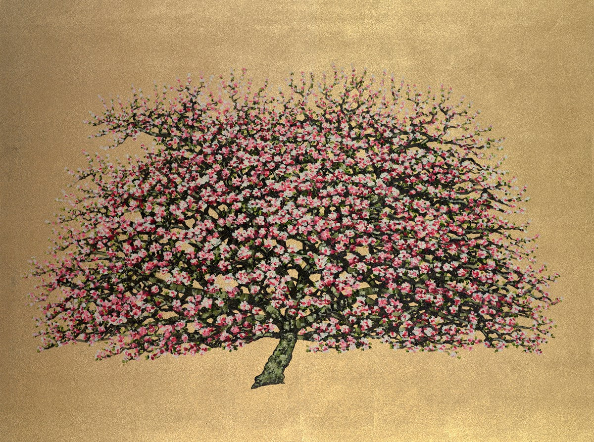 Pink Blossom Tree
