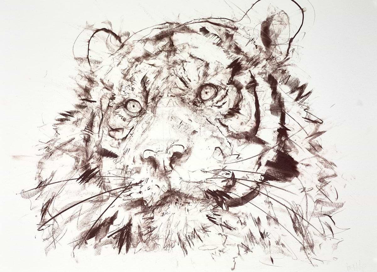 Tiger Study VI