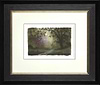 The Blossom Tree (Study) (Framed)