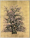 A Tree In Bloom IV (Framed)