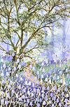 Peaceful Spring VI