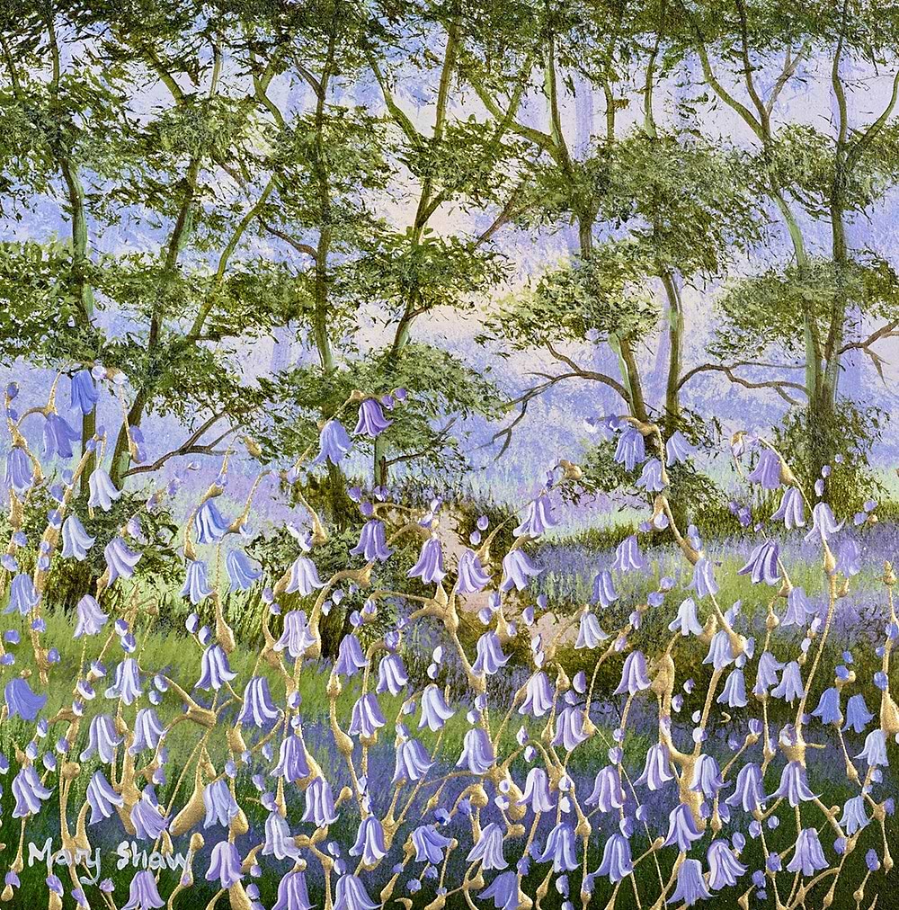 Forest Bluebells