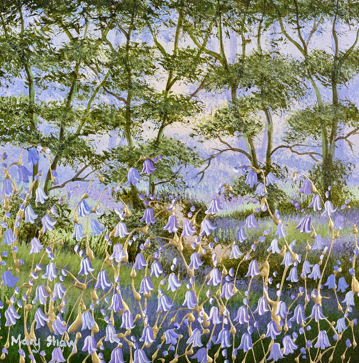 Forest Bluebells