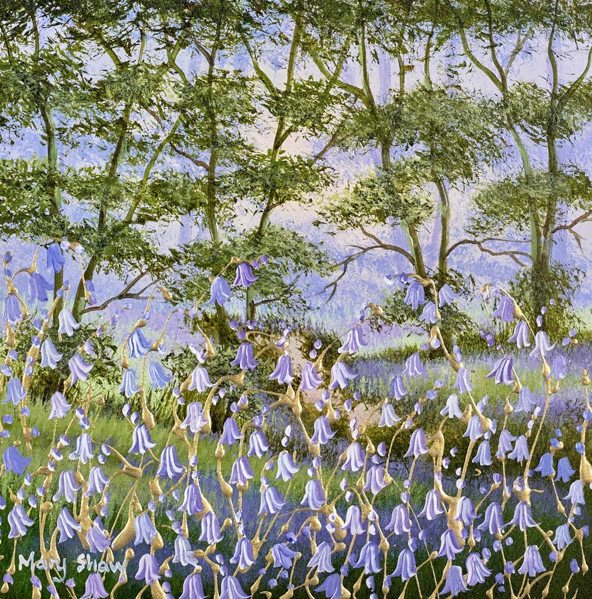 Forest Bluebells
