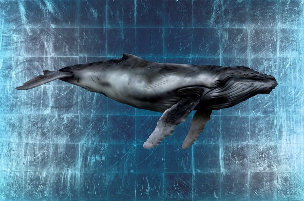 Leviathan