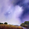 Marshland Water