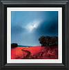 Crimson Fields of Home (Framed)