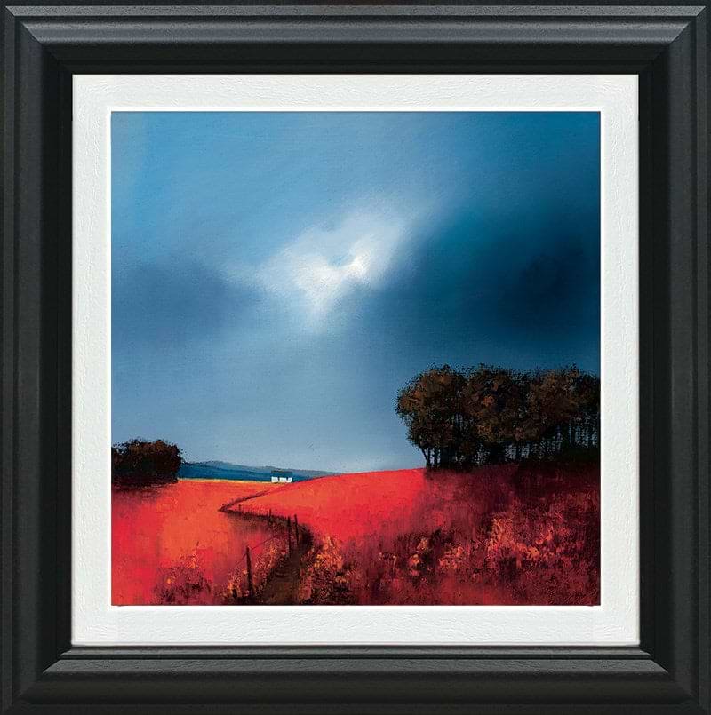 Crimson Fields Of Home