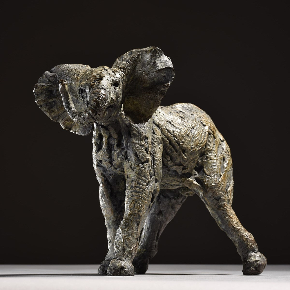 Elephant Calf Bashful - 2019