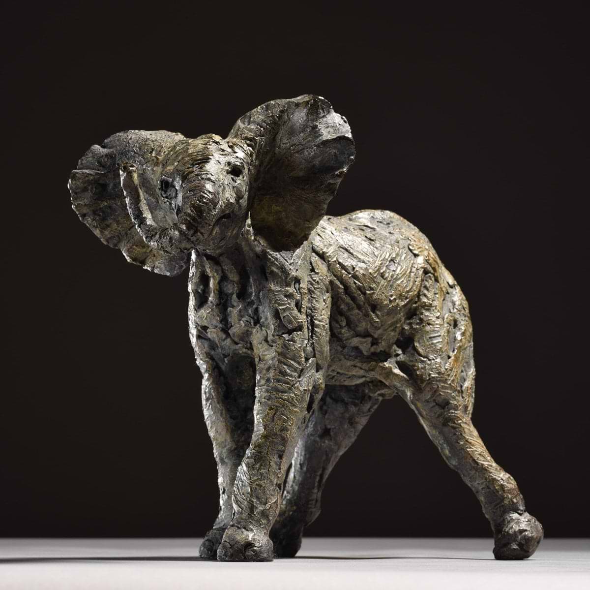 Elephant Calf Bashful - 2019
