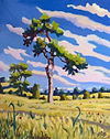 Pine and Harvest