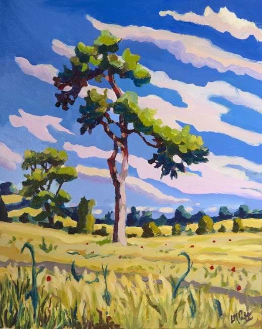 Pine And Harvest