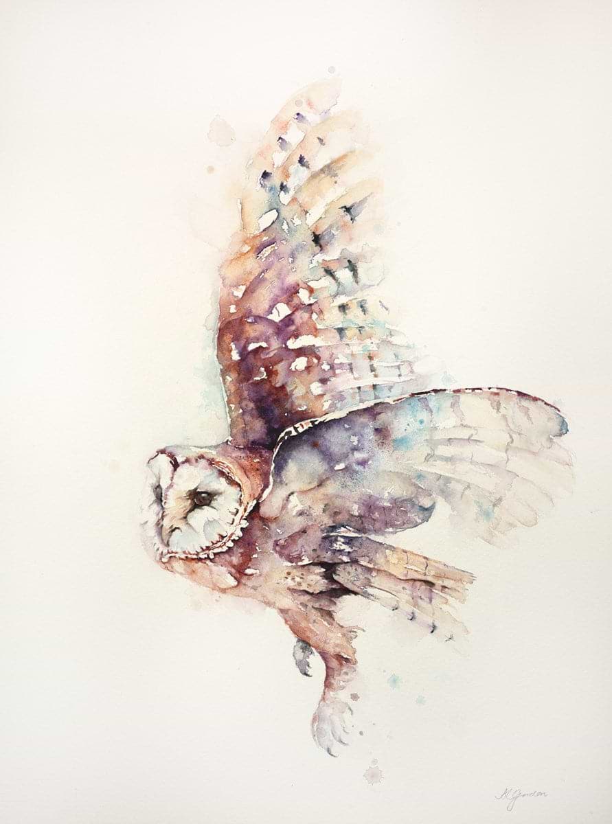 Soft And Silent Flight- Barn Owl