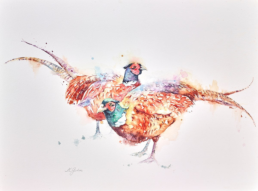 White Collared Pheasants
