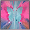 Butterfly Blues 273